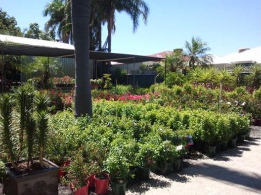 Plant Nursery WA